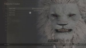 Dragons Dogma 2 | Savage Beast | Beastren Character Creation Sliders |