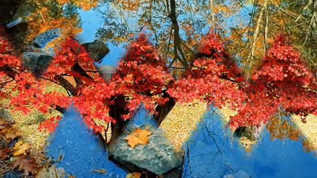 Музыка осени смотреть онлайн