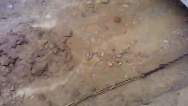 тазы тонут смотреть онлайн