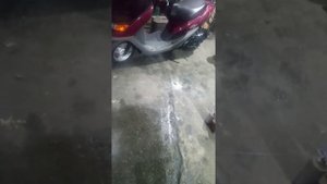 HONDA CESTA.-скутера с корзиной..контейнер. Хонда цеста