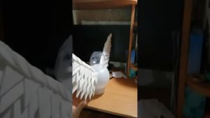 Сова из изолона Светильник из изолона Светильник своими руками. Светильник сова