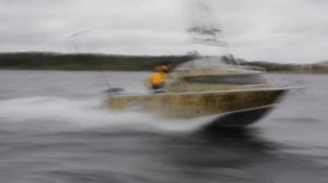 BERKUT L-HT