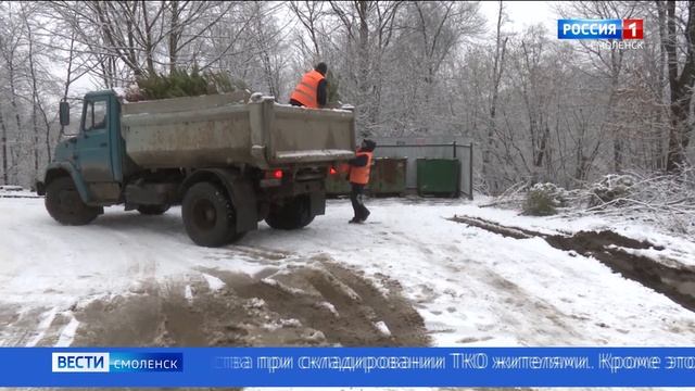 Смолян просят не выбрасывать елки в мусорные контейнеры