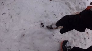 ИРБИС СФ 150. ГДЕ НЕ СТУПАЛА НОГА ЧЕЛОВЕКА))