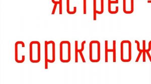 ПРОШЕЛ ТЕСТ НА ЛОГИКУ|ВИДЕО ВОЛК|РЕАКЦИЯ НА ДАНКАРА