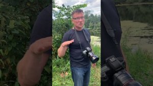Как это снято? Как фотографировать в солнечный день.