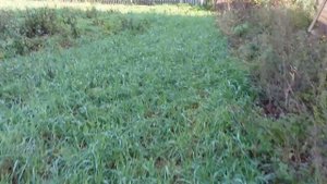 Септик Термит (Эргобокс). Монтаж септиков, Танк, Тополь, Росток Монтаж канализации