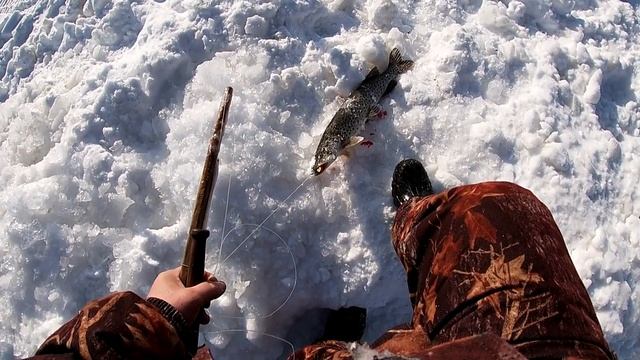 ДИКАЯ РЫБАЛКА НА ЩУКУ! ТАКОЙ РЫБАЛКИ ТЫ НЕ ВИДЕЛ! ЩУКА РВЕТ И МЕЧЕТ!