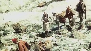 В поисках капитана Гранта - 2 - «37 параллель»