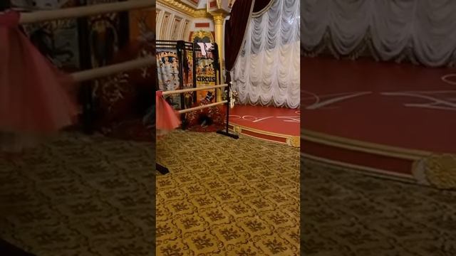 Анастасия Волочкова (@ volochkova art~1587838321~17844500594114443~1 смотреть онлайн