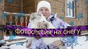 Сибирские Невские Маскарадные Кошки - Фотосессия на Снегу?/ питомник "Маскарадный вальс"?
