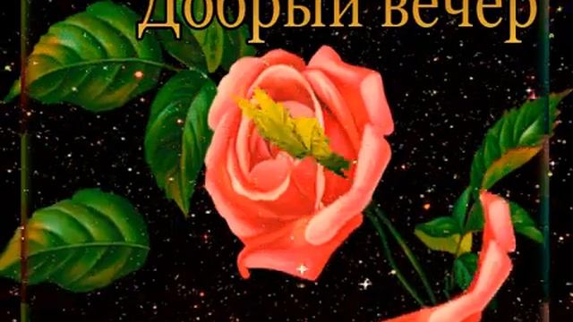 18 сентября 2020 г. смотреть онлайн