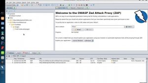 OWASP ZAP: Web App Vulnerability Assessment (Single Page)