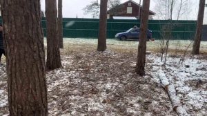 НАВОДИМ КРАСОТУ В ЛЕСУ: расчистка леса от кустов и навалов деревьев и веток