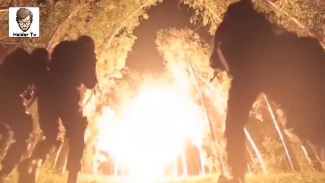 10 Most Powerful Police Forces Of Pakistan | پاکستان کی طاقتور پولیس یونٹس | Haider Tv смотреть онлайн