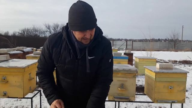 Важные работы на пасеке | Куда девать подмор пчел смотреть онлайн