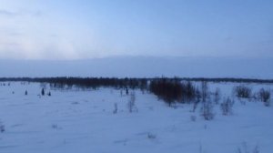 Вид из окна поезда - река Уса (близ ст. Елецкая, Республика Коми)