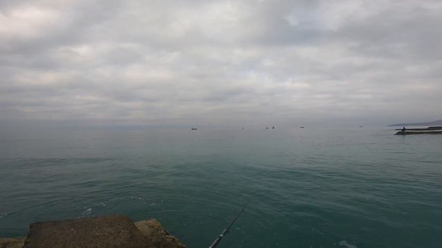 Лов чуларки(кефали) на поплавок и бомбарду. Черное море. Осень 2021