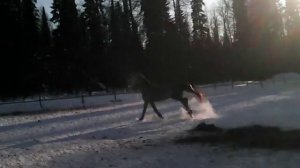 Земляк