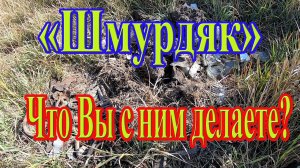 А что ВЫ делаете с найденным на копе артефактом? Коп с металлоискателем Эквинокс 800