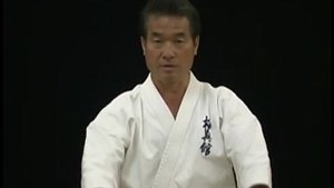 Хацуо Рояма. Видеоприложение к книге «На пути к постижению мастерства».