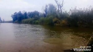 Рыбалка в Астраханской области Володарского района,река Васильевская