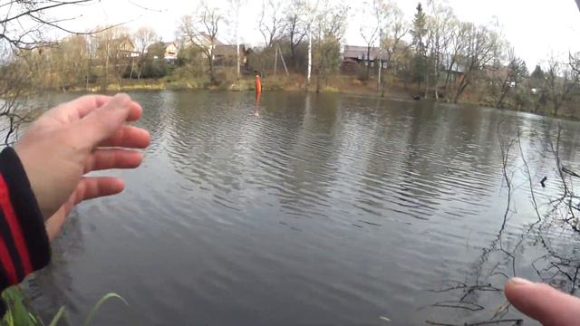 Ловля окуня на бамбарду.