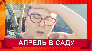 Влог. Апрель  работы в саду/Что нового посадила/ Саженцы заказ