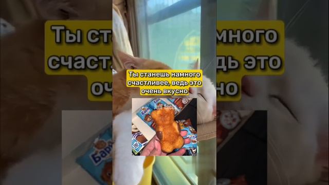 ЧТО БУДЕТ, ЕСЛИ ЕСТЬ БАРНИ КАЖДЫЙ ДЕНЬ