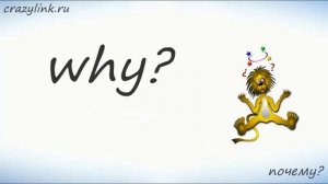 Вопросительные слова в английском языке.