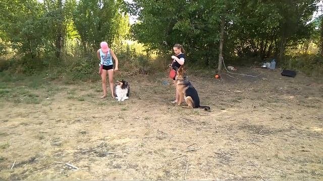 Ребенок и собака. Собака для ребенка.