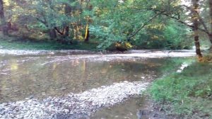 "Мини обзор леса Краснодарского края + горная речка" 2018