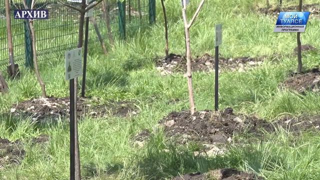 На заседании Совета регионального отделения РГО обсудили результаты работы местной организации смотреть онлайн