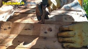 Майский мед. жертвуем пчёлами и расплодом..mp4