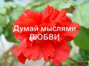 СМОТРИ НА МИР ГЛАЗАМИ ЛЮБВИ