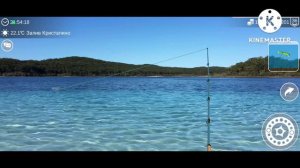 My Fishing World #50// Новая локация ЗАЛИВ КРИСТАЛИНО...