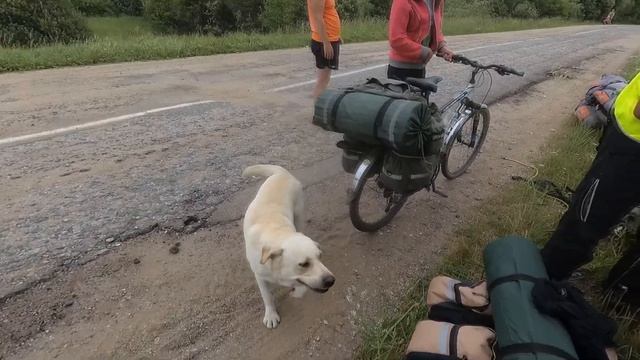 Велопоход вокруг Плещеева озера смотреть онлайн