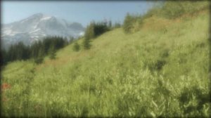 Мила Кириевская - Вечное Синее Небо