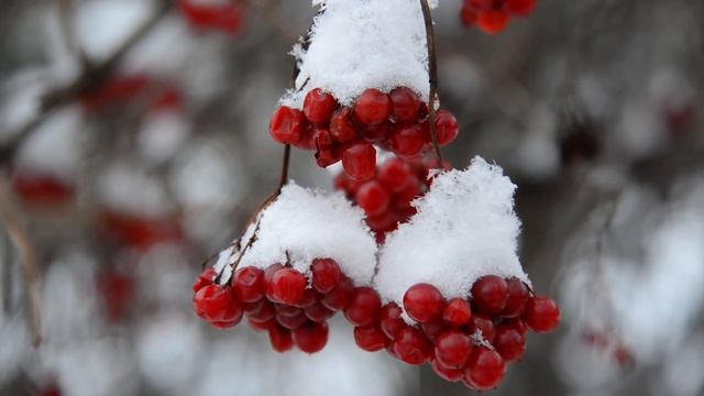 Самые красивые любовные песни 80-х - 90-х - Самый романтичный звук саксофона, гитары, фортепиано