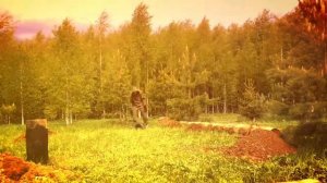 Фундамент из осиновых свай