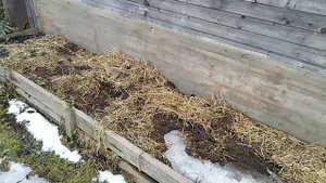 Теплые грядки весной из мусора! // Секреты хороших урожаев.