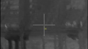 Видео с тепловизионного прицела CONOTECH Polaris 335RL с лазерным дальномером