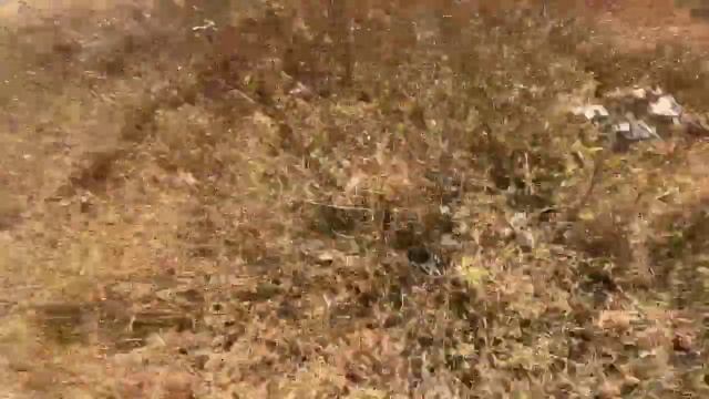 влог учусь летать на параплане смотреть онлайн