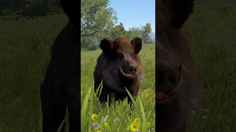 #френдли #rust #раст