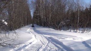 Тайга варяг 500 Тест датчиков температуры Покатушки выходного дня