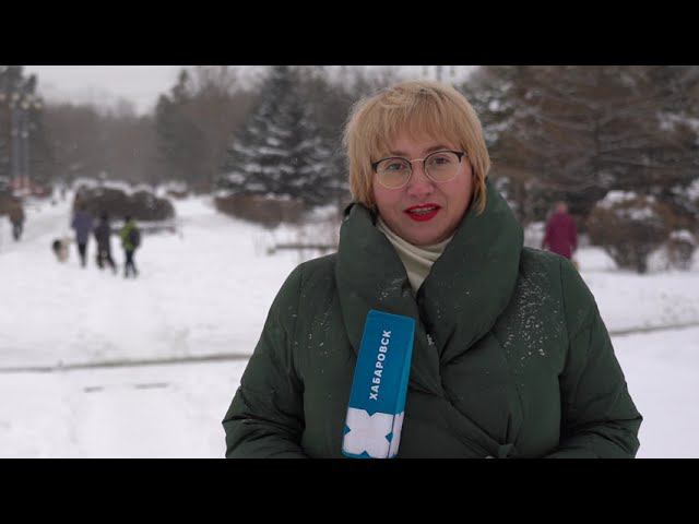 Хабаровск ждёт сильный снег и морозы // Погода в Хабаровске