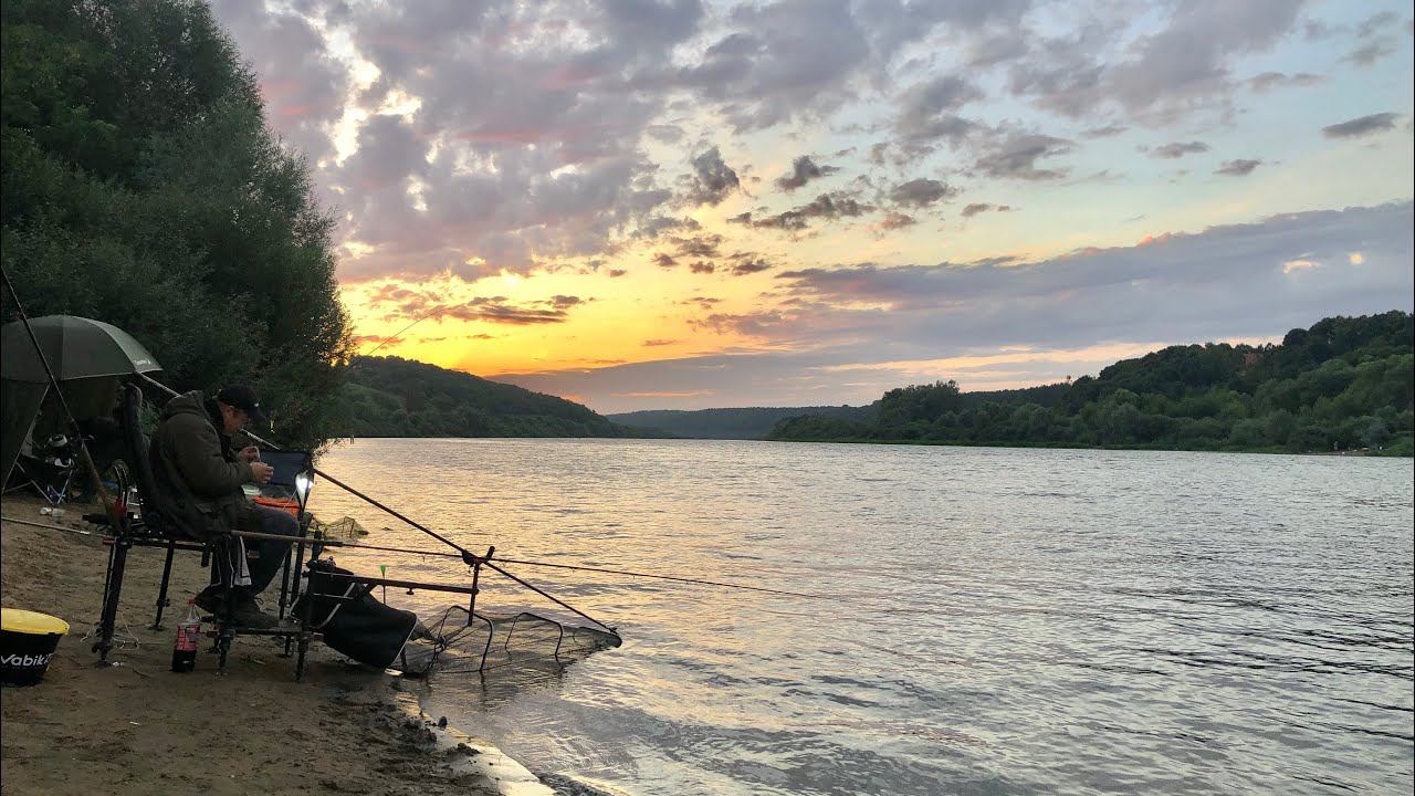 ФИДЕР НА ОКЕ / Такие ТРОФЕИ ДАВНО не ПОПАДАЛИСЬ / ТРОФЕЙНАЯ РЫБАЛКА на ОКЕ смотреть онлайн