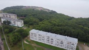 Дунай, 2020
