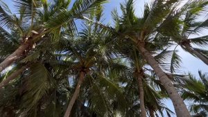 Обзор на отель THE AGATE PATTAYA  BOUTIQUE RESORT 4 * 2023