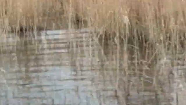 РЫБАЛКА НА БАЛХАШЕ часть 2 www.balchasch.ucoz.ru смотреть онлайн